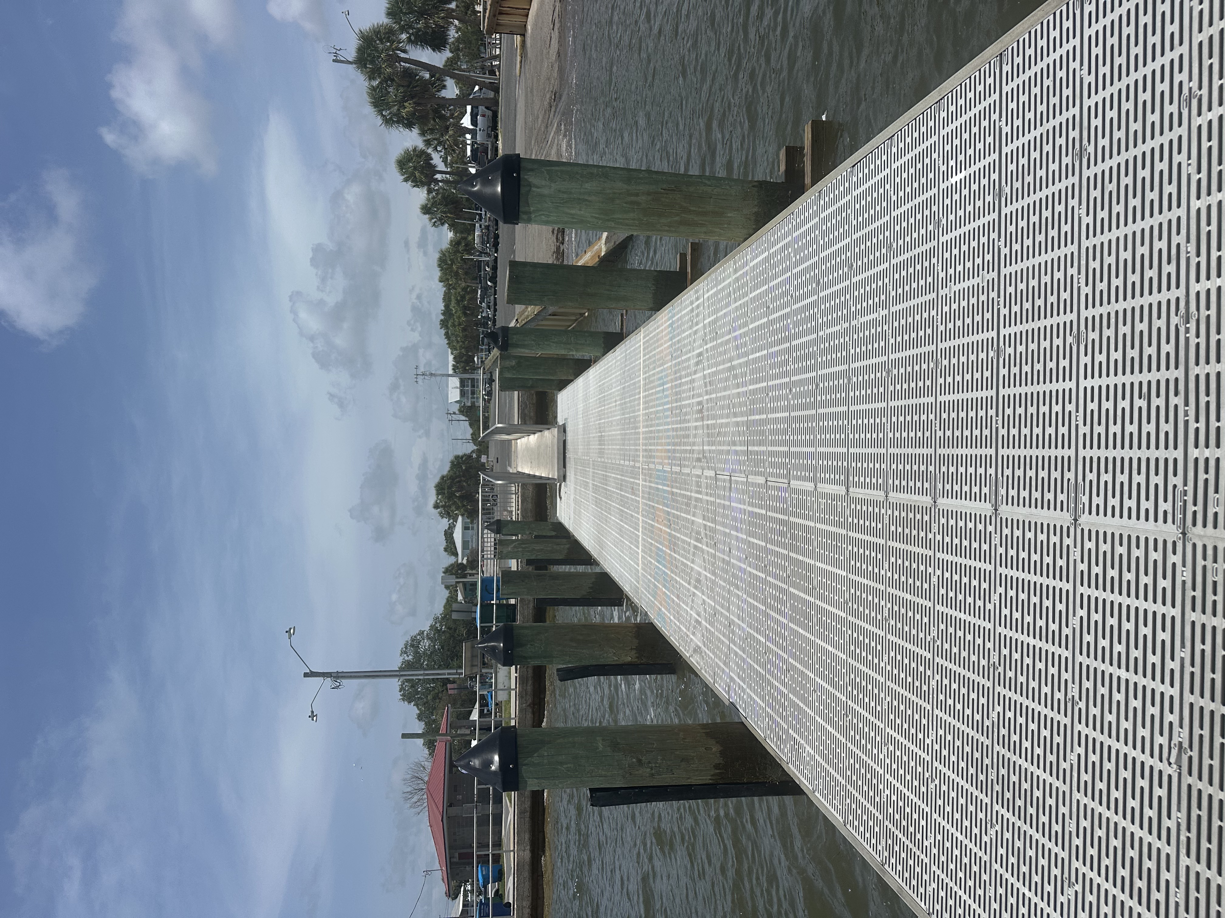 Municipal floating dock, aluminum gangway and timber piles at Cedar Key